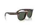 Ray-Ban Wayfarer Reverse Lunettes de Soleil RB R0502S 6790VR
