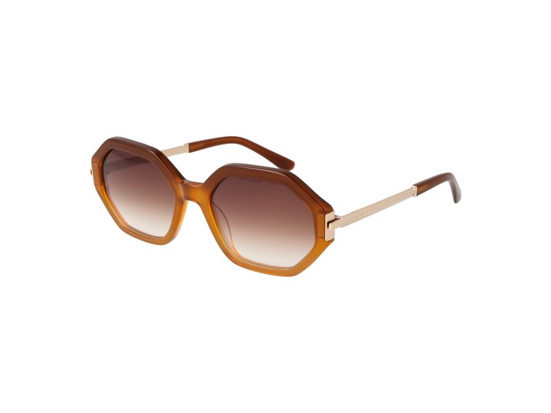 Sandro Lunettes de Soleil SD 6046 104