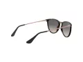 Ray-Ban Junior Erika Lunettes de Soleil RJ 9060S 7049/11