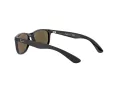 Ray-Ban Lunettes de Soleil RJ 9062S 7013/55