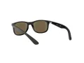 Ray-Ban Lunettes de Soleil RJ 9062S 7013/55