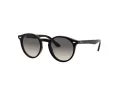 Ray-Ban Lunettes de Soleil RJ 9064S 100/11