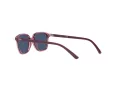Ray-Ban Leonard Jr Lunettes de Soleil RJ 9093S 7112/80