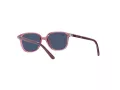 Ray-Ban Leonard Jr Lunettes de Soleil RJ 9093S 7112/80