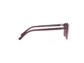 Ray-Ban Leonard Jr Lunettes de Soleil RJ 9093S 7112/80