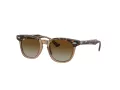 Ray-Ban Lunettes de Soleil RJ 9098S 7152T5