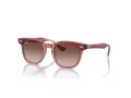 Ray-Ban Lunettes de Soleil RJ 9098S 715413