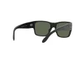 Ray-Ban Wayfarer Nomad Jr RJ 9287S 100/71 51 Lunettes de Solei