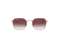 Ray-Ban Lunettes de Soleil RJ 9594S 291/8H