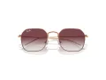 Ray-Ban Lunettes de Soleil RJ 9594S 291/8H