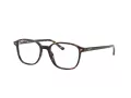 Ray-Ban Leonard Lunettes de Vue RX 5393 2012