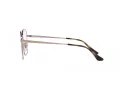 Ray-Ban Lunettes de Vue RX 6490D 2943