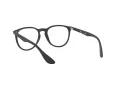 Ray-Ban Erika Lunettes de Vue 7046 5364