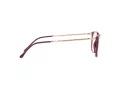 Ray-Ban Lunettes de Vue RX 7244 8099