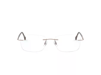 Ray-Ban Lunettes de Vue RX 8725 1131