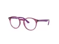 Ray-Ban Lunettes de Vue RY 1594 3813