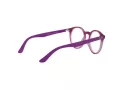 Ray-Ban Lunettes de Vue RY 1594 3813