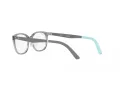 Ray-Ban Lunettes de Vue RY 1614D 3908