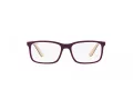 Ray-Ban Lunettes de Vue RY 1621 3931
