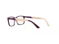 Ray-Ban Lunettes de Vue RY 1621 3931