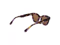 Superdry Lunettes de Soleil SDS 5037 102