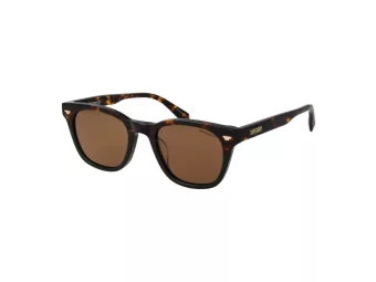 Superdry Lunettes de Soleil SDS 5043 102