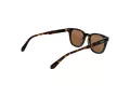 Superdry Lunettes de Soleil SDS 5043 102