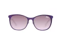 Superdry Lunettes de Soleil SDS Echoes 020