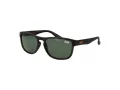 Superdry Lunettes de Soleil SDS Rockstar 122