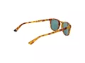 Superdry Lunettes de Soleil SDS Roku 170