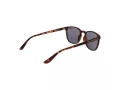 Superdry Lunettes de Soleil SDS Summer 102