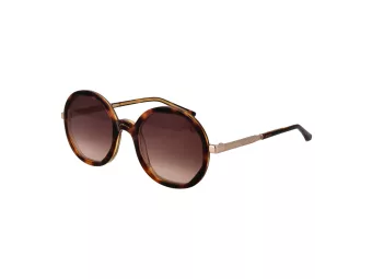 Sandro Lunettes de Soleil SD 6042 170