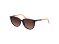 Skechers Lunettes de Soleil SE 6169 52H