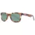 Skechers Lunettes de Soleil SE 6216 56R