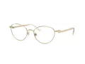 Swarovski Lunettes de Vue SK 1002 4004
