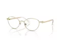 Swarovski Lunettes de Vue SK 1002 4004