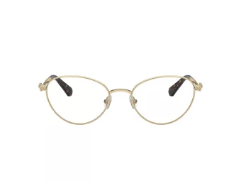 Swarovski Lunettes de Vue SK 1002 4013