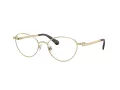 Swarovski Lunettes de Vue SK 1002 4013