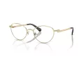 Swarovski Lunettes de Vue SK 1002 4013