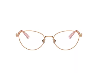 Swarovski Lunettes de Vue SK 1002 4014
