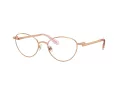 Swarovski Lunettes de Vue SK 1002 4014