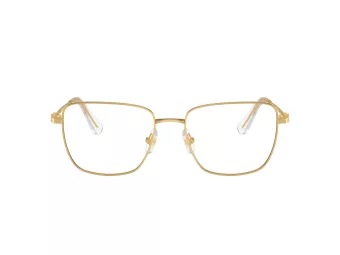 Swarovski Lunettes de Vue SK 1003 4004