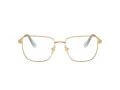 Swarovski Lunettes de Vue SK 1003 4021