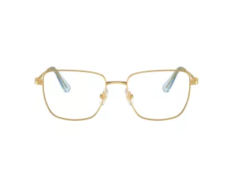 Swarovski Lunettes de Vue SK 1003 4021