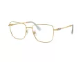 Swarovski Lunettes de Vue SK 1003 4021