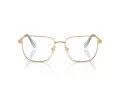 Swarovski Lunettes de Vue SK 1003 4021