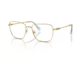 Swarovski Lunettes de Vue SK 1003 4021