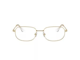 Swarovski Lunettes de Vue SK 1005 4013