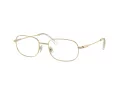 Swarovski Lunettes de Vue SK 1005 4013