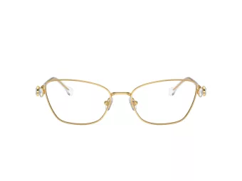 Swarovski Lunettes de Vue SK 1006 4013